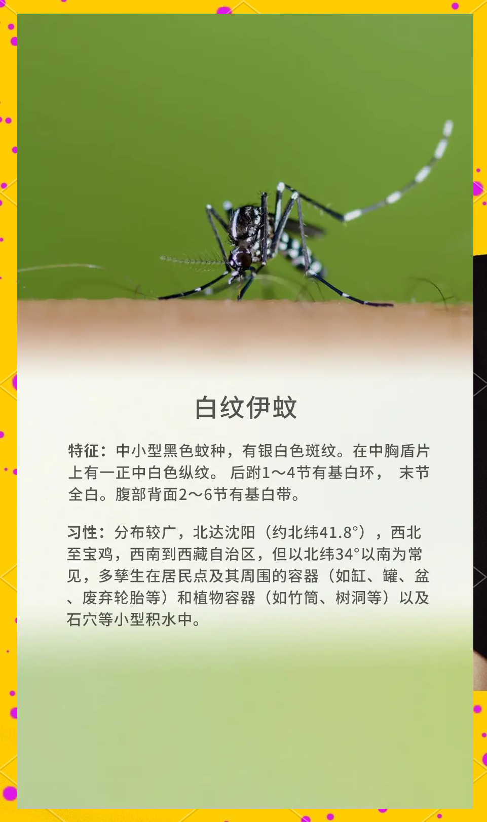 唠“科”话丨为啥蚊子总叮你?“招蚊”跟血型相关?